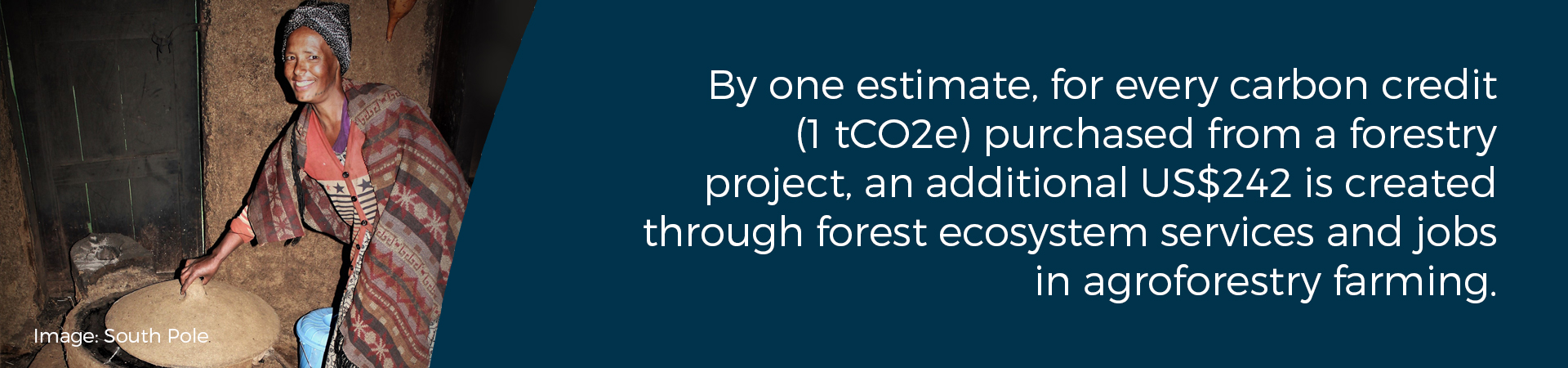 Banner - "by one estimate, for every carbon credit (1 tCO2e) purchased from a forestry project, an additional US$242 is created through forest ecosystem services and jobs in agroforestry farming"