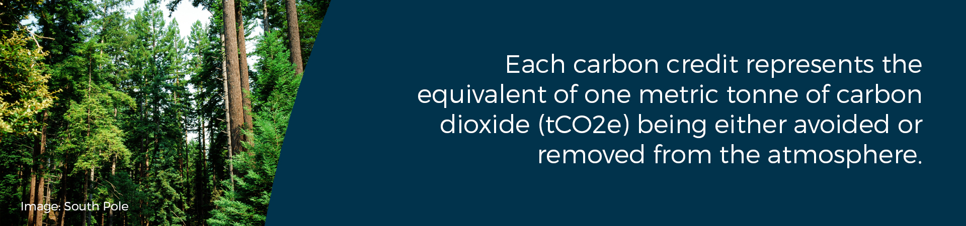 Banner - "Each carbon credit represents the equivalent of one metric tonne of carbon dioxide (tCO2e) being either avoided or removed from the atmosphere"